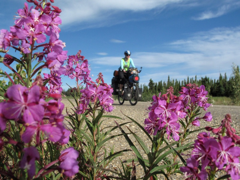 Yukon Summer