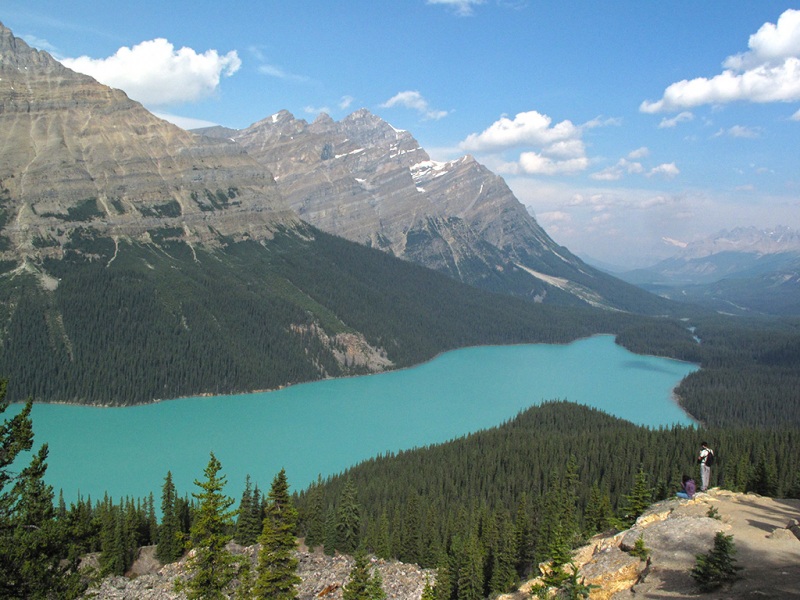 Lake Peyto