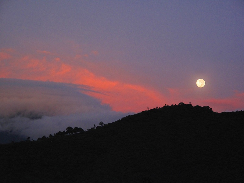 Moonrise