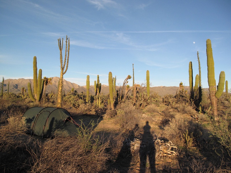 Baja California