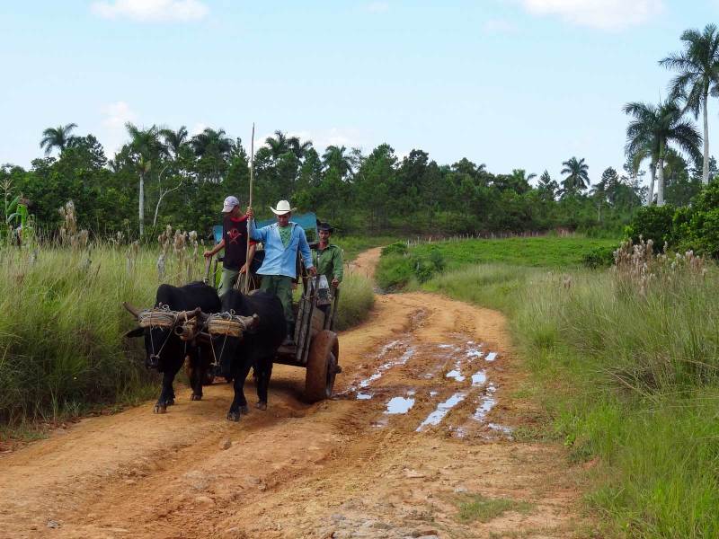 colorfish-martina-gees-cuba-on-the-road-01
